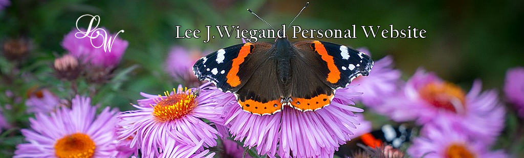 page header image